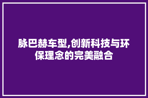 脉巴赫车型,创新科技与环保理念的完美融合