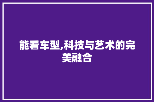 能看车型,科技与艺术的完美融合