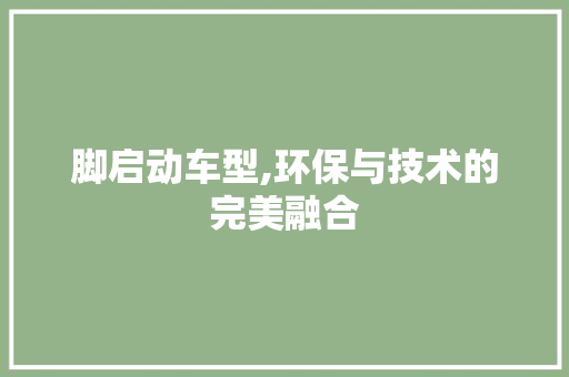 脚启动车型,环保与技术的完美融合