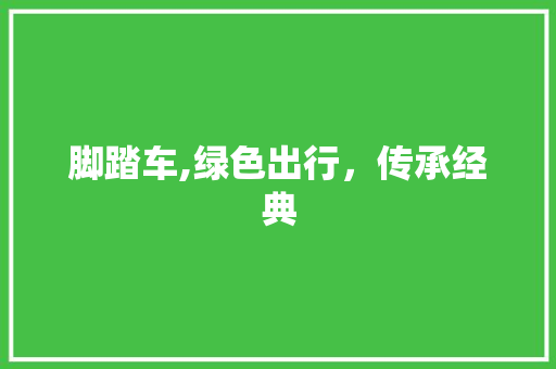 脚踏车,绿色出行，传承经典