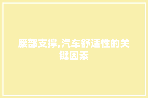 腰部支撑,汽车舒适性的关键因素