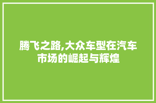 腾飞之路,大众车型在汽车市场的崛起与辉煌