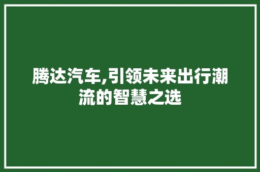 腾达汽车,引领未来出行潮流的智慧之选
