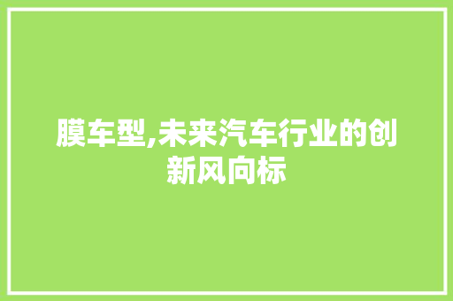 膜车型,未来汽车行业的创新风向标