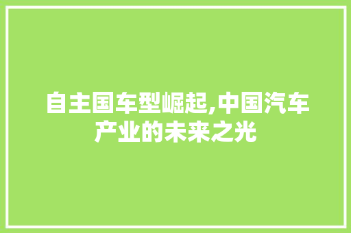 自主国车型崛起,中国汽车产业的未来之光