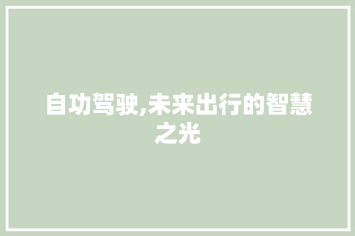 自功驾驶,未来出行的智慧之光 新款车型