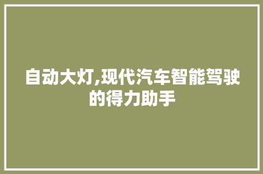 自动大灯,现代汽车智能驾驶的得力助手