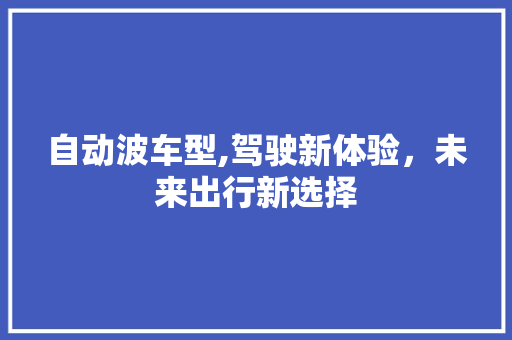 自动波车型,驾驶新体验，未来出行新选择