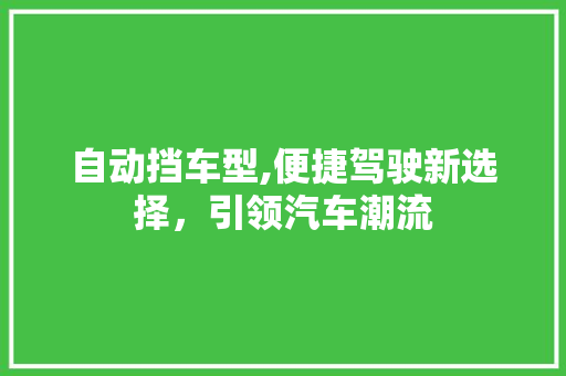 自动挡车型,便捷驾驶新选择，引领汽车潮流