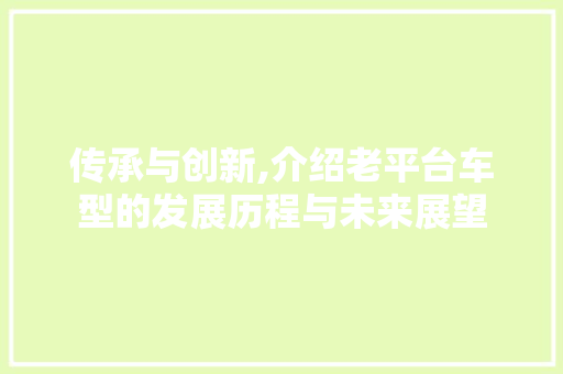 传承与创新,介绍老平台车型的发展历程与未来展望