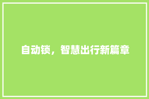 自动锁，智慧出行新篇章