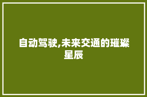 自动驾驶,未来交通的璀璨星辰