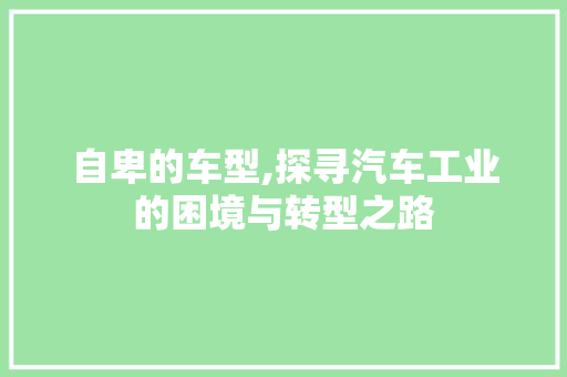 自卑的车型,探寻汽车工业的困境与转型之路