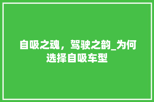 自吸之魂，驾驶之韵_为何选择自吸车型