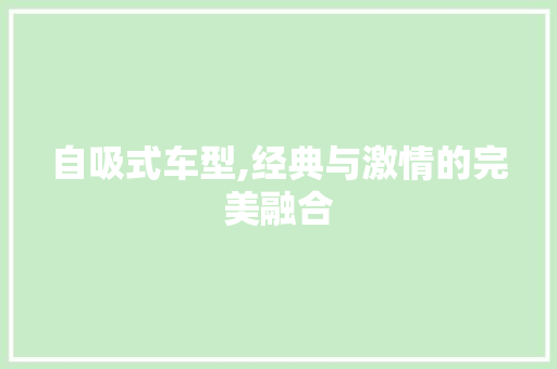 自吸式车型,经典与激情的完美融合
