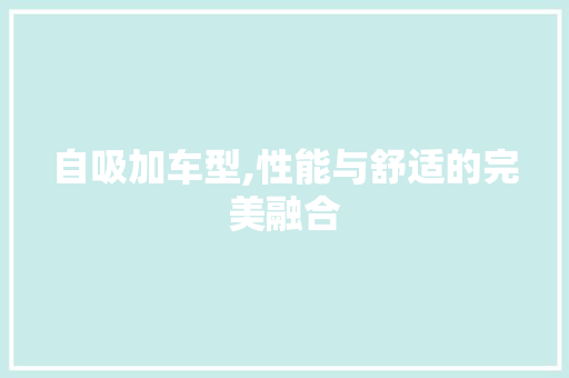 自吸加车型,性能与舒适的完美融合