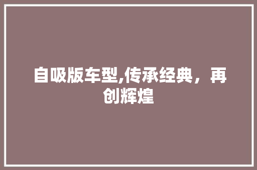 自吸版车型,传承经典，再创辉煌