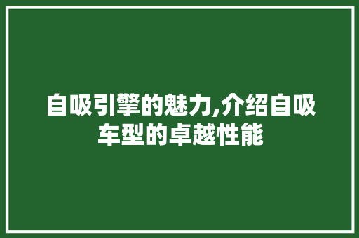 自吸引擎的魅力,介绍自吸车型的卓越性能