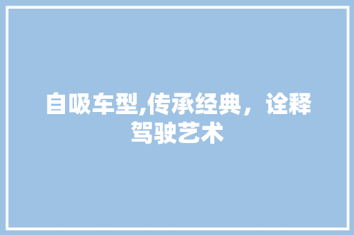 自吸车型,传承经典，诠释驾驶艺术