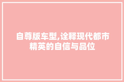 自尊版车型,诠释现代都市精英的自信与品位