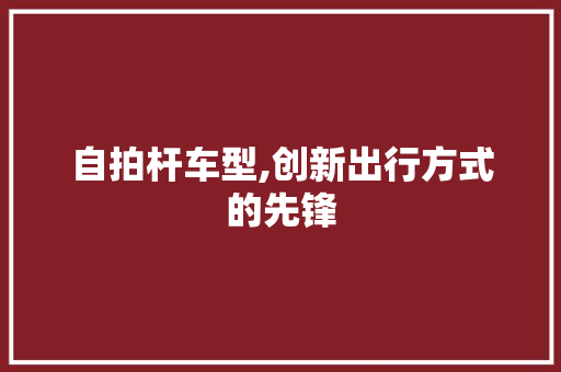 自拍杆车型,创新出行方式的先锋