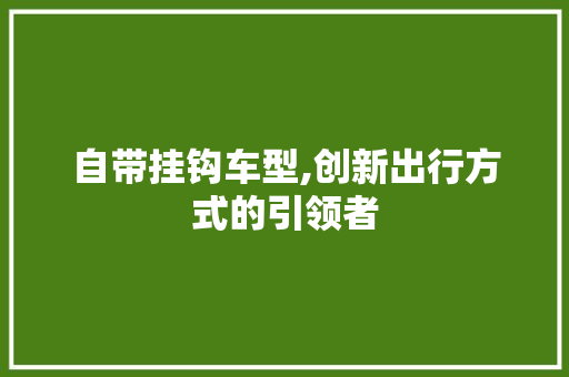 自带挂钩车型,创新出行方式的引领者