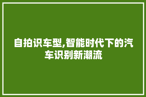 自拍识车型,智能时代下的汽车识别新潮流