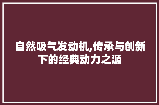 自然吸气发动机,传承与创新下的经典动力之源