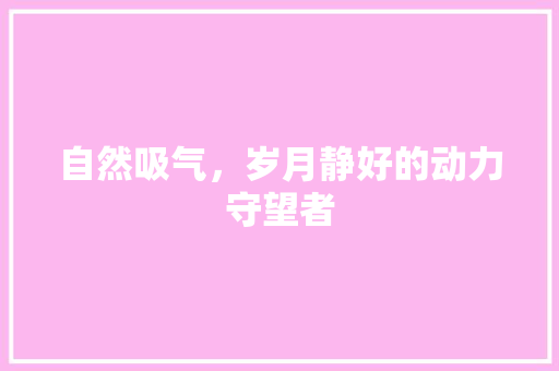 自然吸气，岁月静好的动力守望者