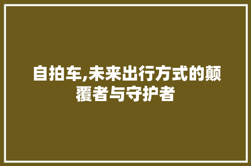 自拍车,未来出行方式的颠覆者与守护者