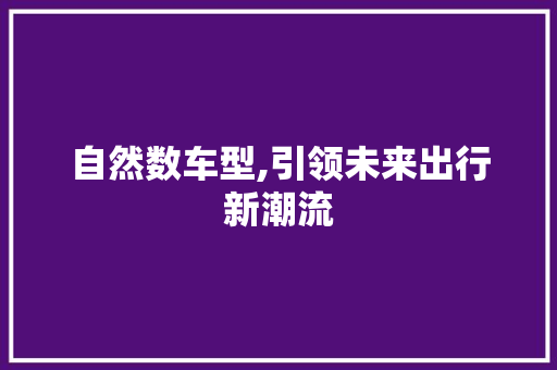 自然数车型,引领未来出行新潮流