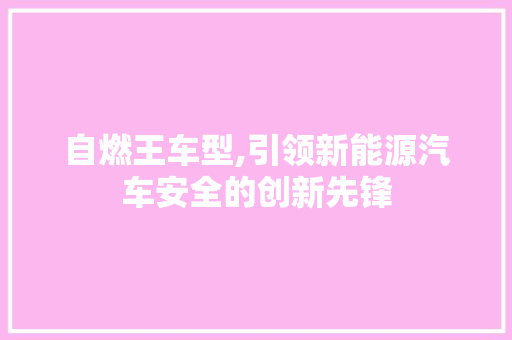 自燃王车型,引领新能源汽车安全的创新先锋