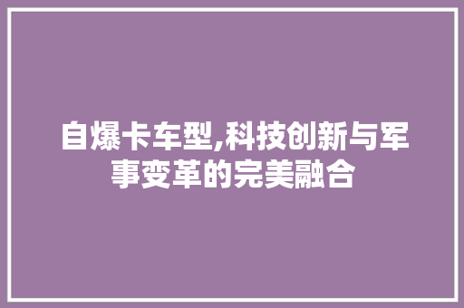自爆卡车型,科技创新与军事变革的完美融合