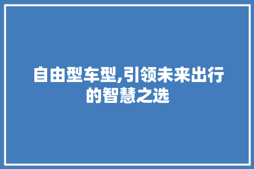 自由型车型,引领未来出行的智慧之选