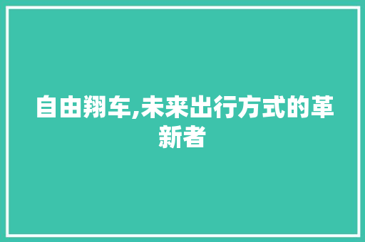 自由翔车,未来出行方式的革新者