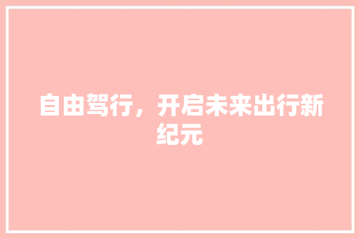 自由驾行，开启未来出行新纪元