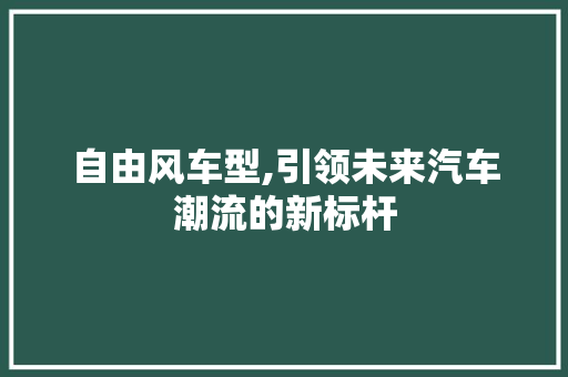 自由风车型,引领未来汽车潮流的新标杆