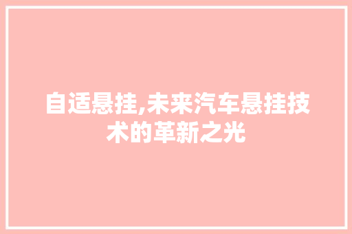 自适悬挂,未来汽车悬挂技术的革新之光