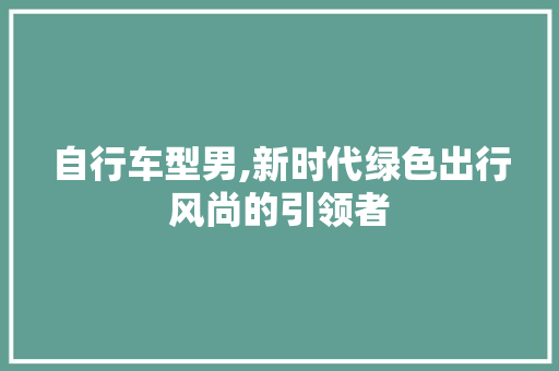 自行车型男,新时代绿色出行风尚的引领者