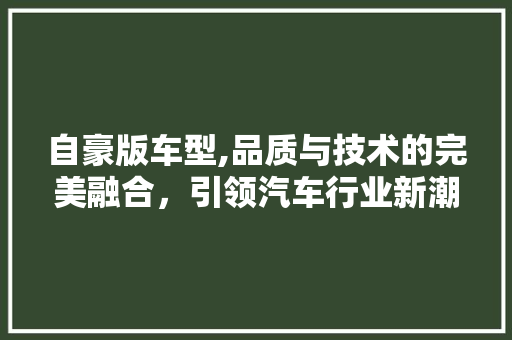 自豪版车型,品质与技术的完美融合，引领汽车行业新潮流