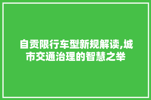 自贡限行车型新规解读,城市交通治理的智慧之举
