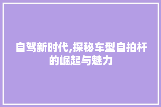 自驾新时代,探秘车型自拍杆的崛起与魅力