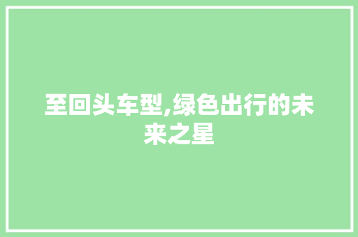 至回头车型,绿色出行的未来之星