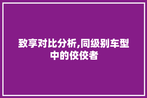致享对比分析,同级别车型中的佼佼者