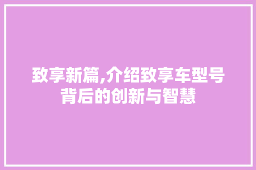 致享新篇,介绍致享车型号背后的创新与智慧