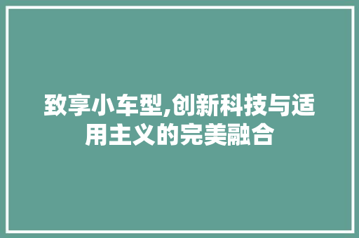 致享小车型,创新科技与适用主义的完美融合