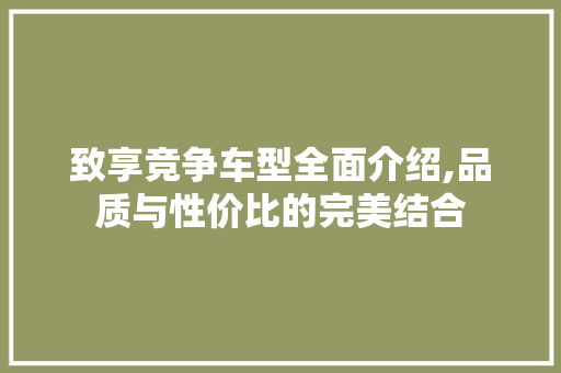 致享竞争车型全面介绍,品质与性价比的完美结合
