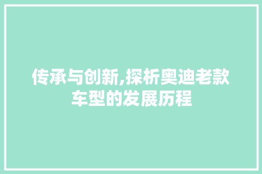 传承与创新,探析奥迪老款车型的发展历程