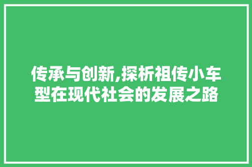 传承与创新,探析祖传小车型在现代社会的发展之路