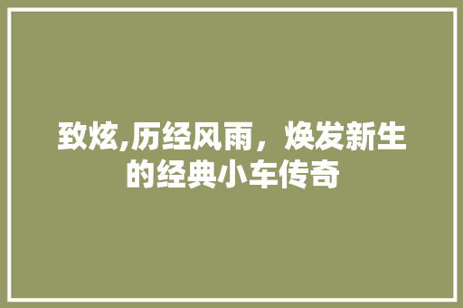 致炫,历经风雨，焕发新生的经典小车传奇